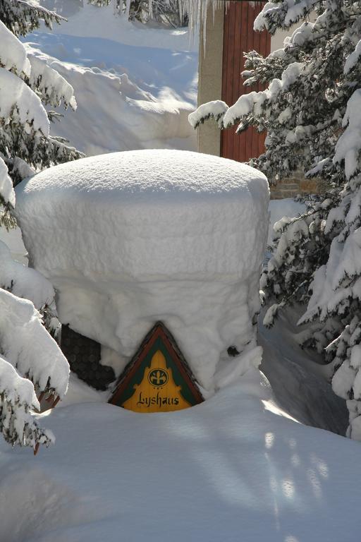 Hotel Lyshaus Gressoney-Saint-Jean Exterior foto